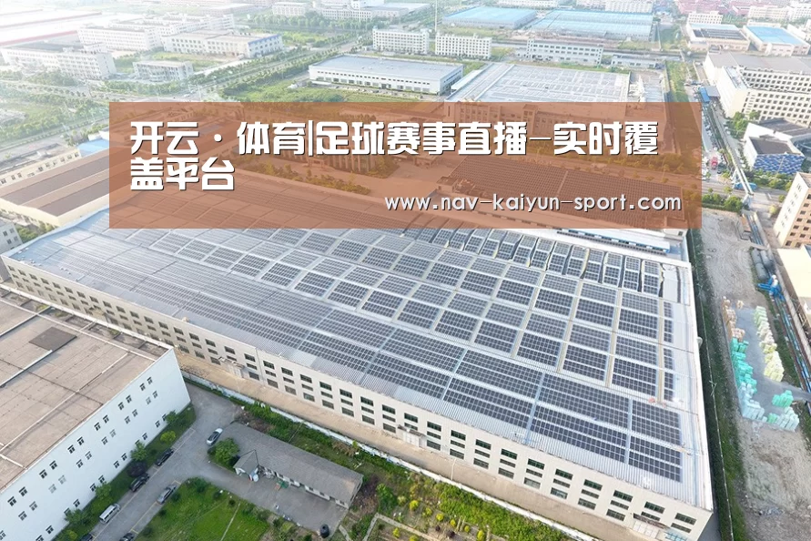 案例展示三