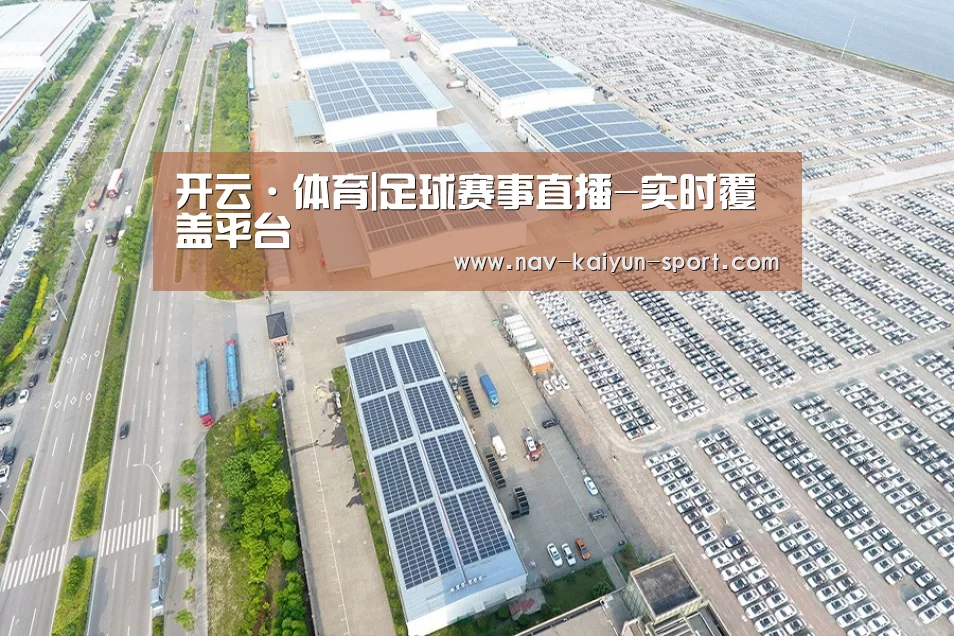 案例展示四