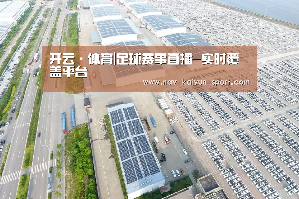 案例展示二