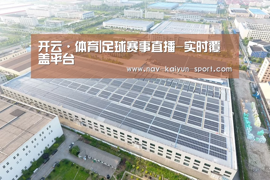 案例展示四