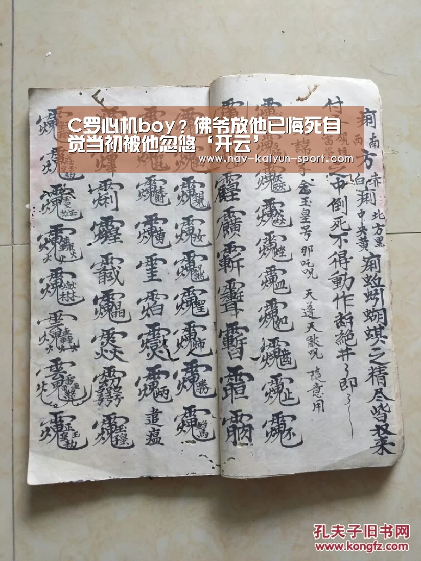 开云公司